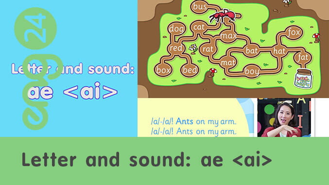 Letter and sound: ae <ai>