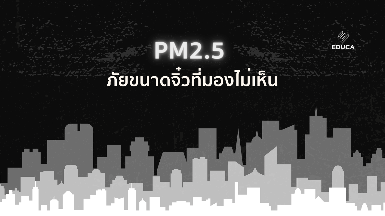 PM2.5 ภัยขนาดจิ๋วที่มองไม่เห็น